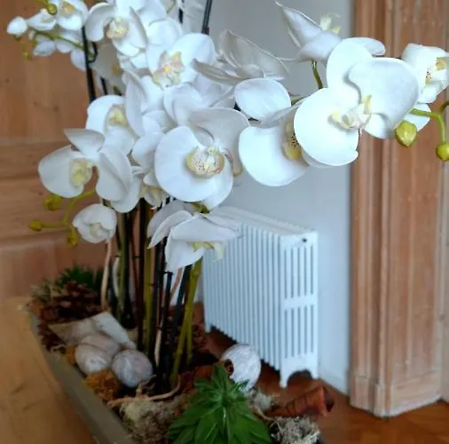 Будинок відпочинку D'hotes - Ariane Онфлер