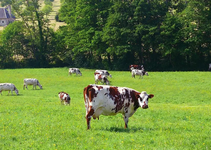 بيت للعطل D'hotes - Ariane *